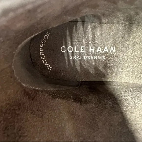 Cole Haan Stratton Shroud Suede Waterproof Boots in Morel Sz: 10