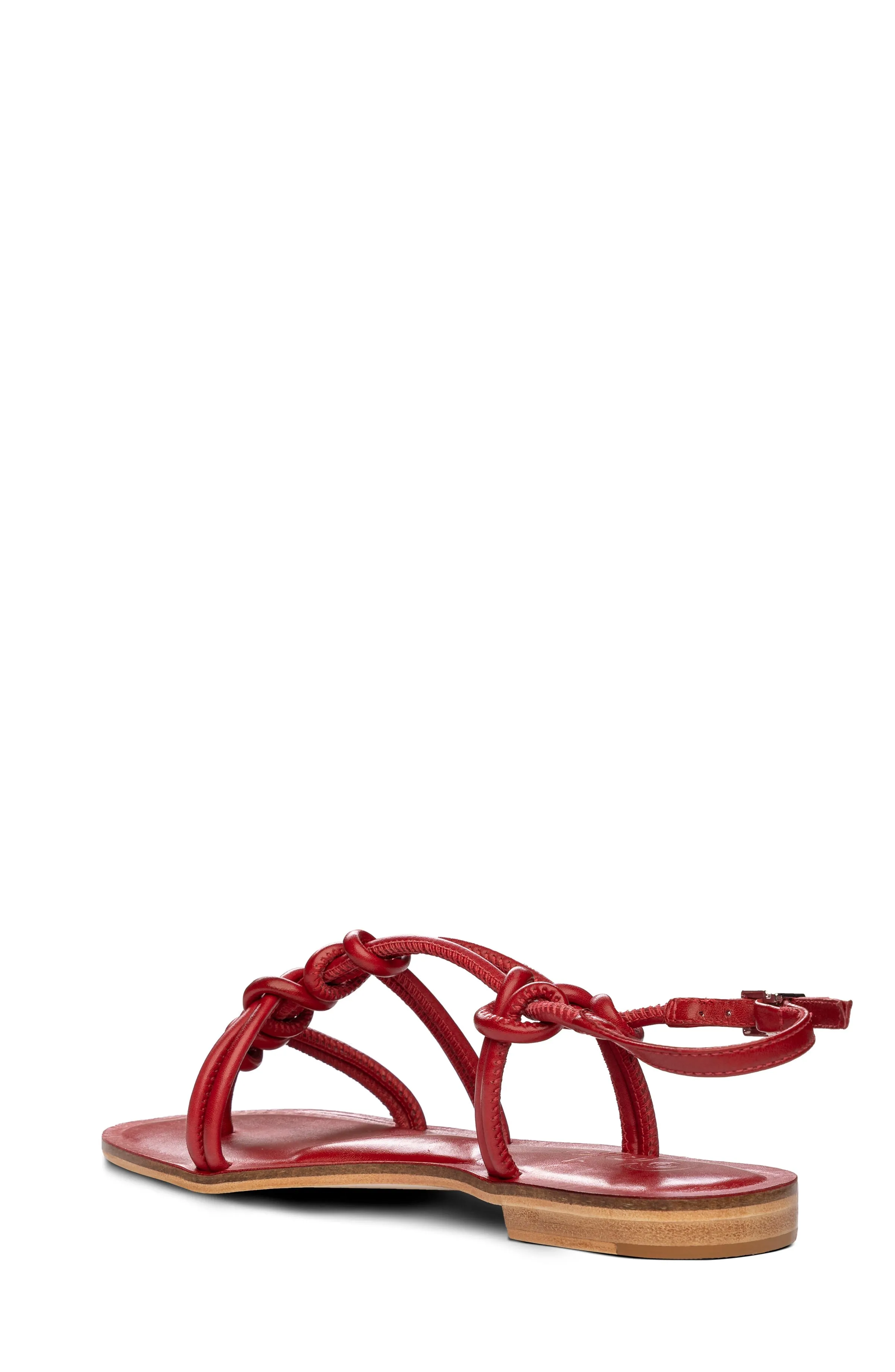 Forget Me Knot