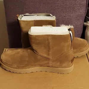 NIB Woman's Short Ugg Boots with Side Zipper Size 12
