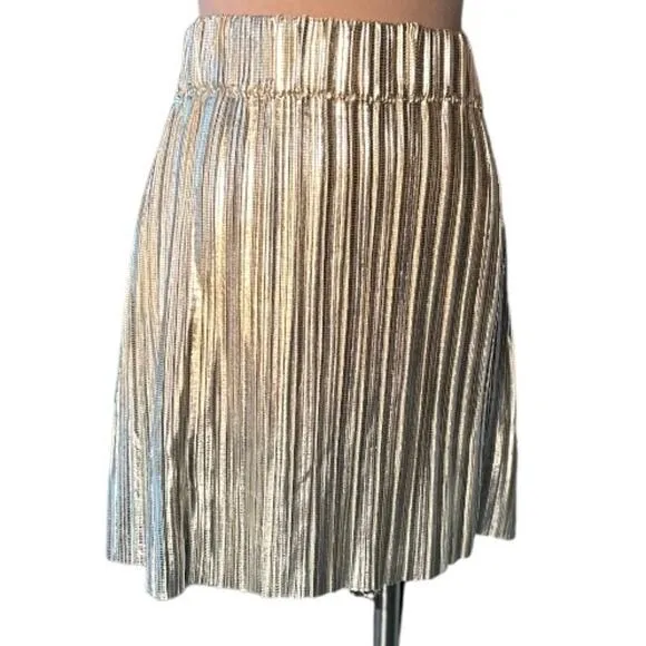 NWOT $295 Isabel Marant Etoile Delpha Metallic Pleated Mini Skirt Eu 38/ 6 or M