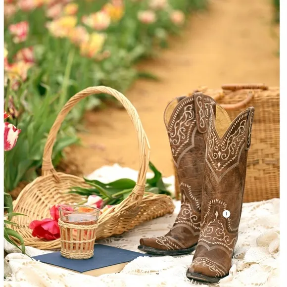Sinatra Women’s Old Gringo Western Boot Size 8 Brown Leather Embroidered