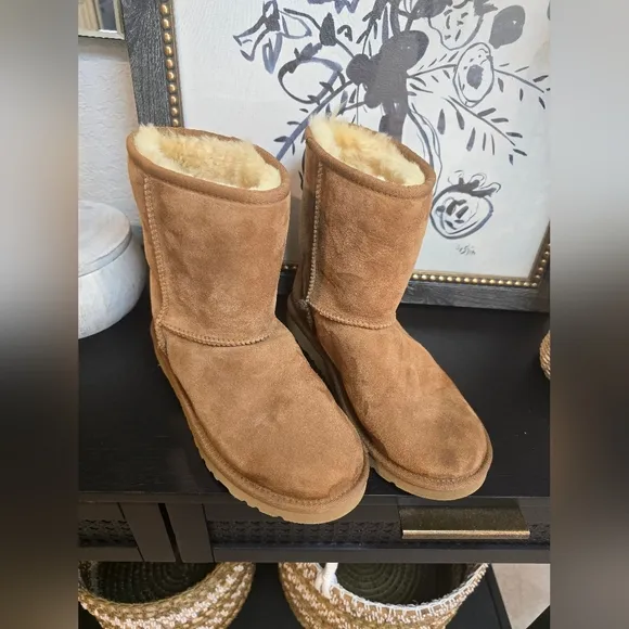 Ugg Australia Brown Suede Shearling Boots